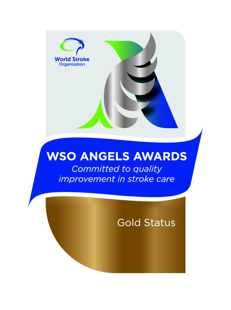 World Stroke Organisation Angels Awards 2025 -Gold Status (Q1, Q2, Q3, and Q4)
