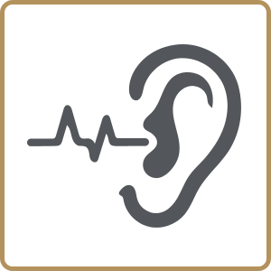 Audiology services at Sunway Medical Centre Penang