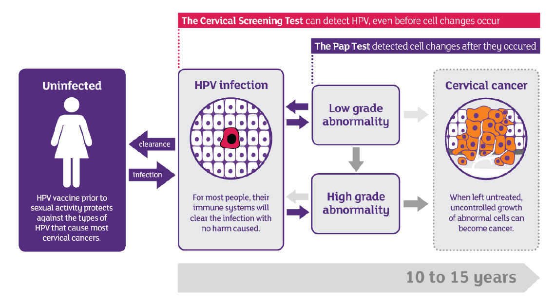 Cervical Cancer Screening Guideline