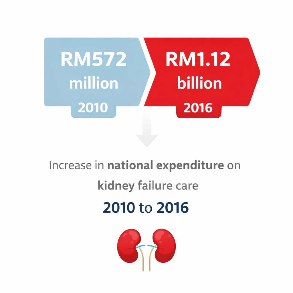 Rising cost of kidney failure care in Malaysia (2010-2016)