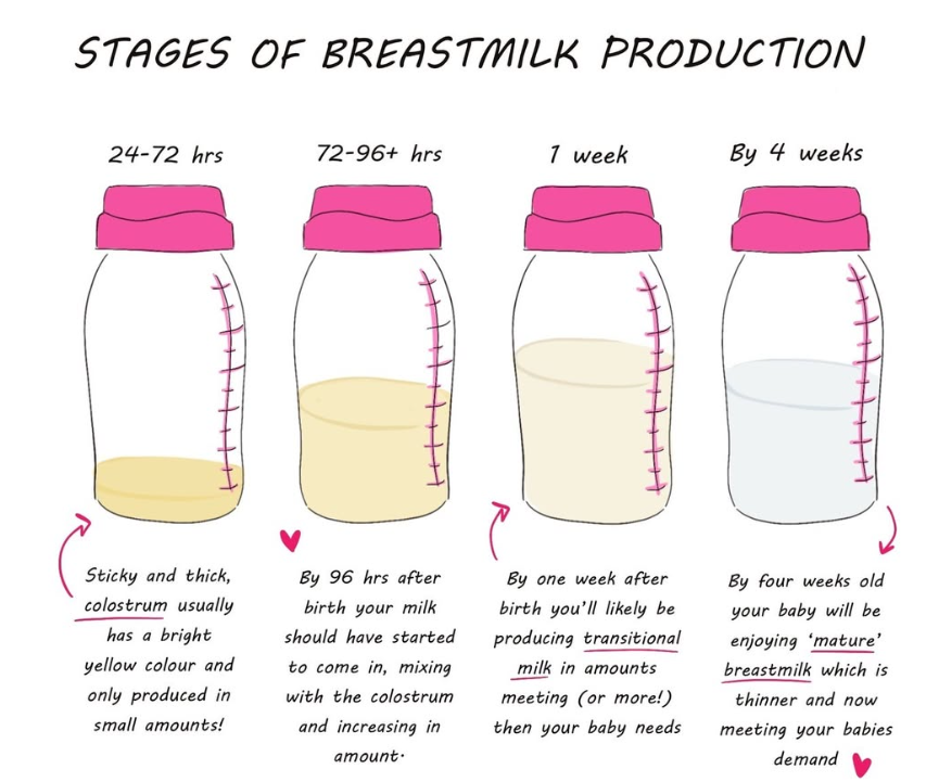 Lactation Counseilling in Penang