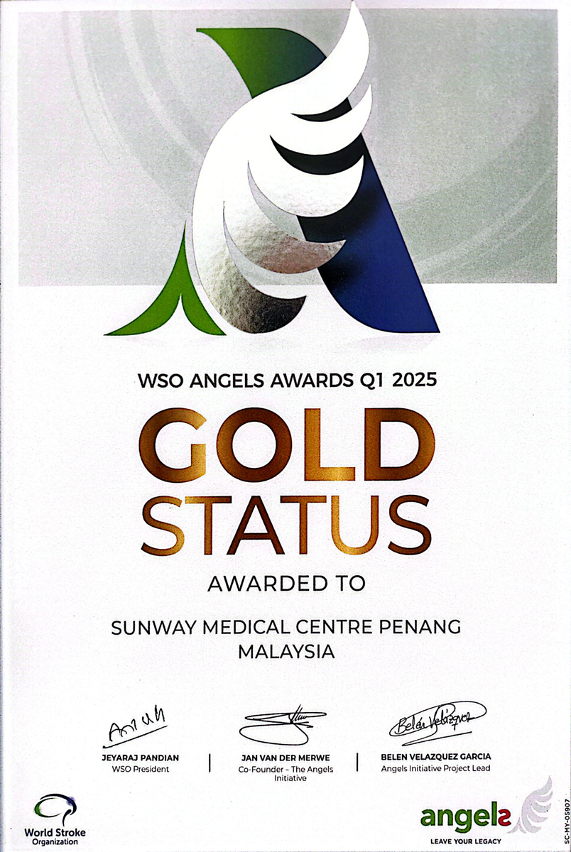 World Stroke Organisation Angels Awards 2025 -Gold Status (Q1, Q2, Q3, and Q4)