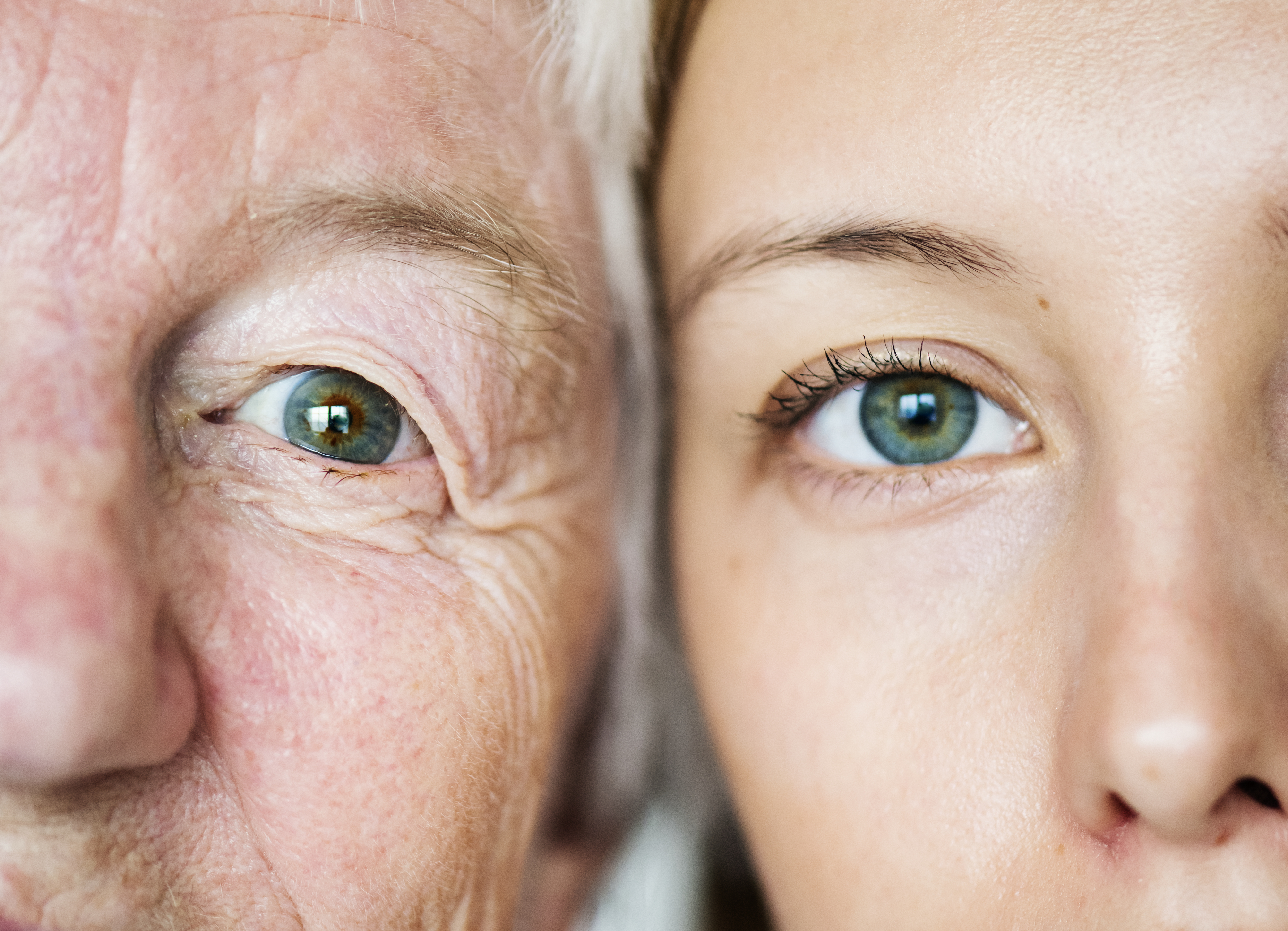 half faces of an old woman and a young adult woman