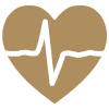 Cardiology Icon