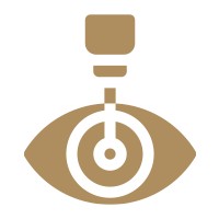 Vitreoretinal Surgery